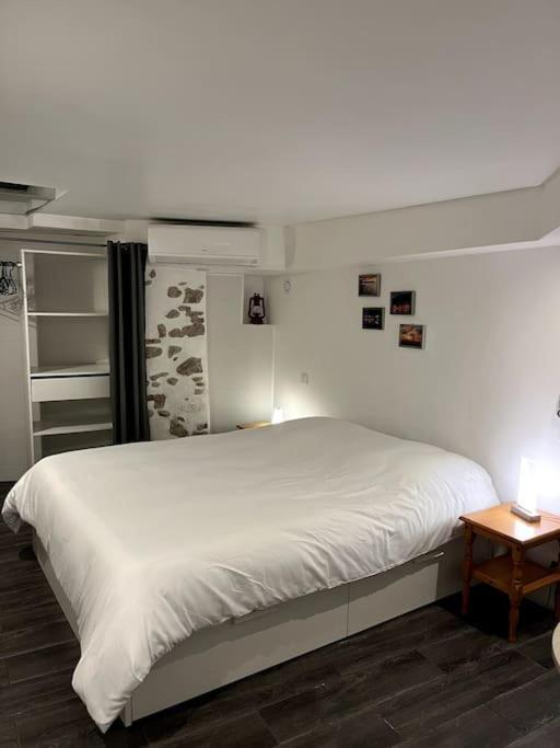 Appartement Climatise Albi - Centre 外观 照片